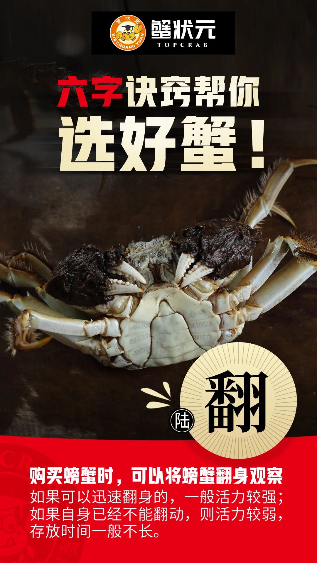 挑选大闸蟹6个秘诀06