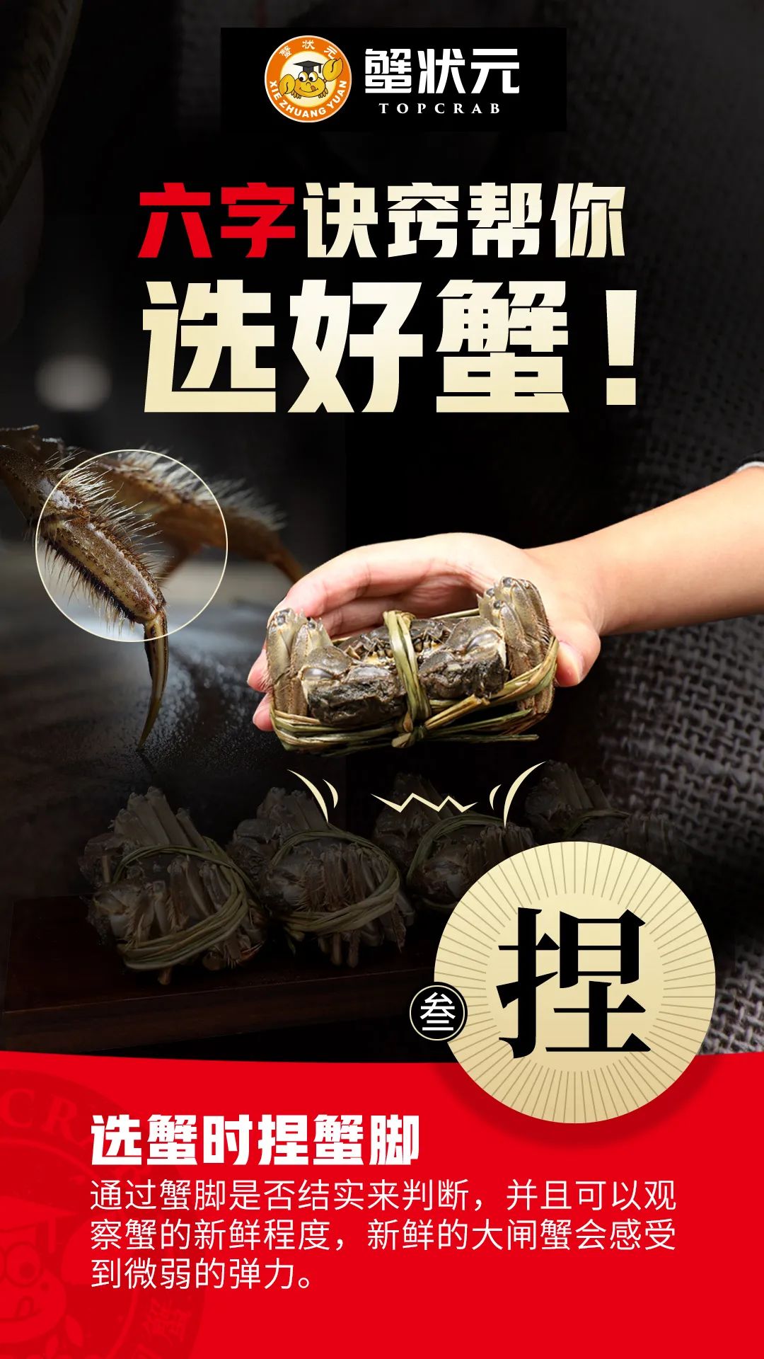 挑选大闸蟹6个秘诀03