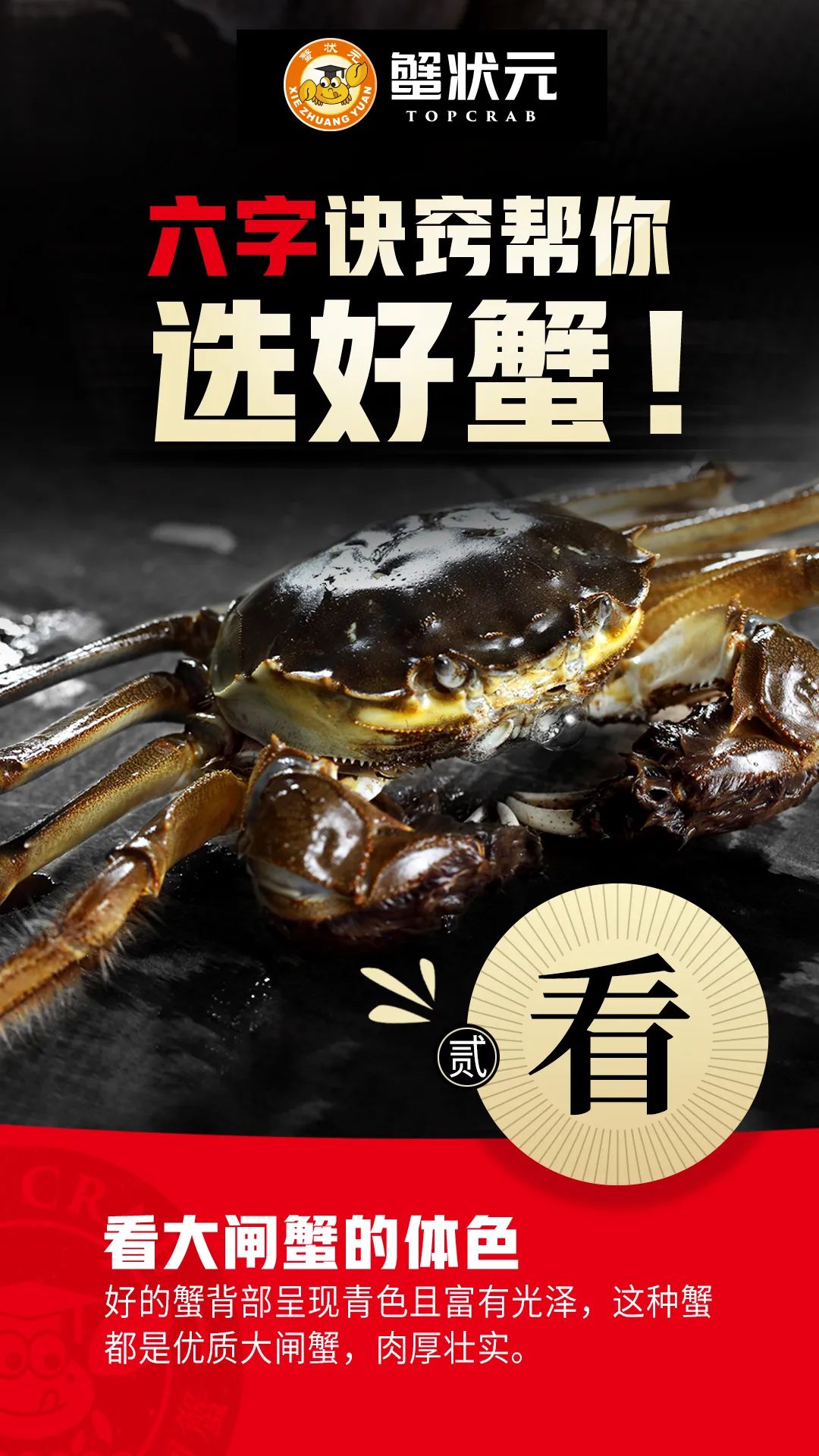 挑选大闸蟹6个秘诀02