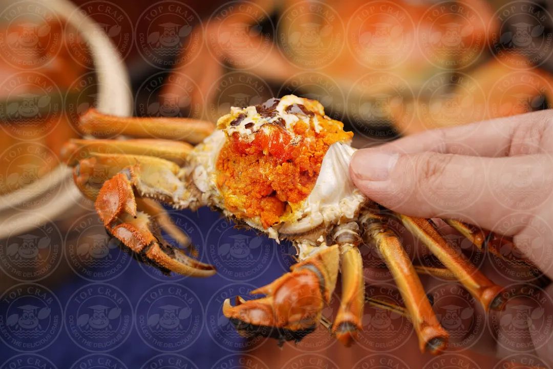 大闸蟹美食11103 大闸蟹美食11103