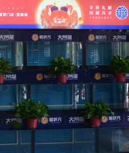 天津蟹状元大港2qjd02