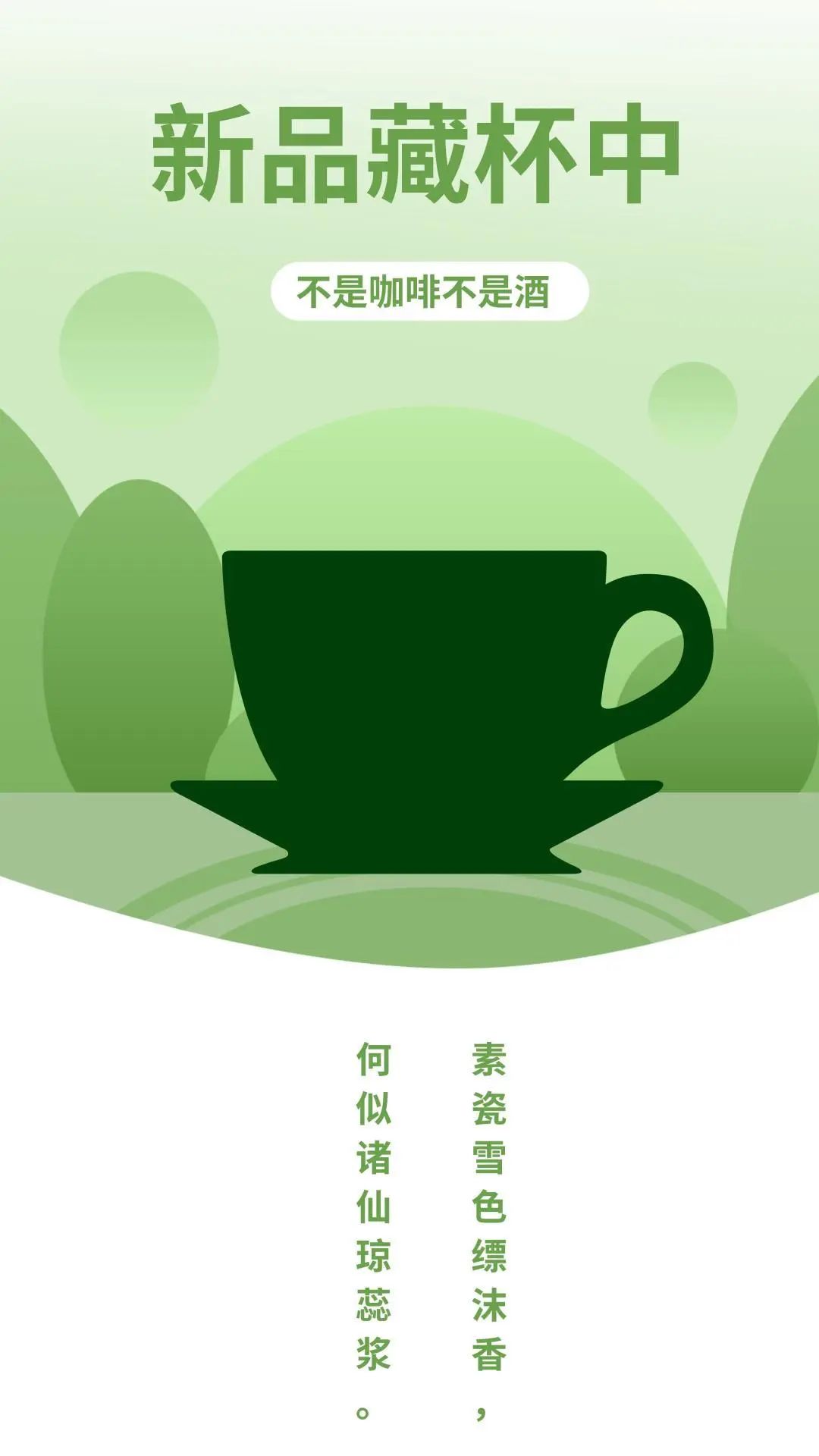 新品藏杯中001 新品藏杯中001