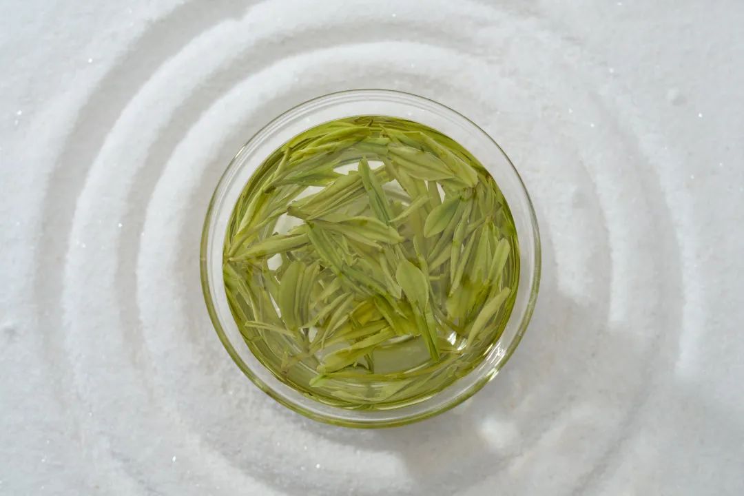 安吉白茶生长的绝佳摇篮天然好茶