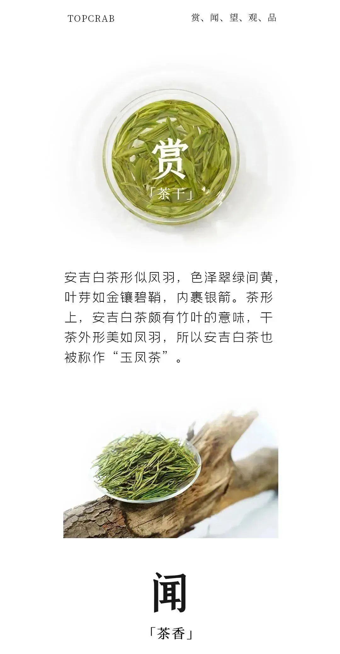 茶道赏52