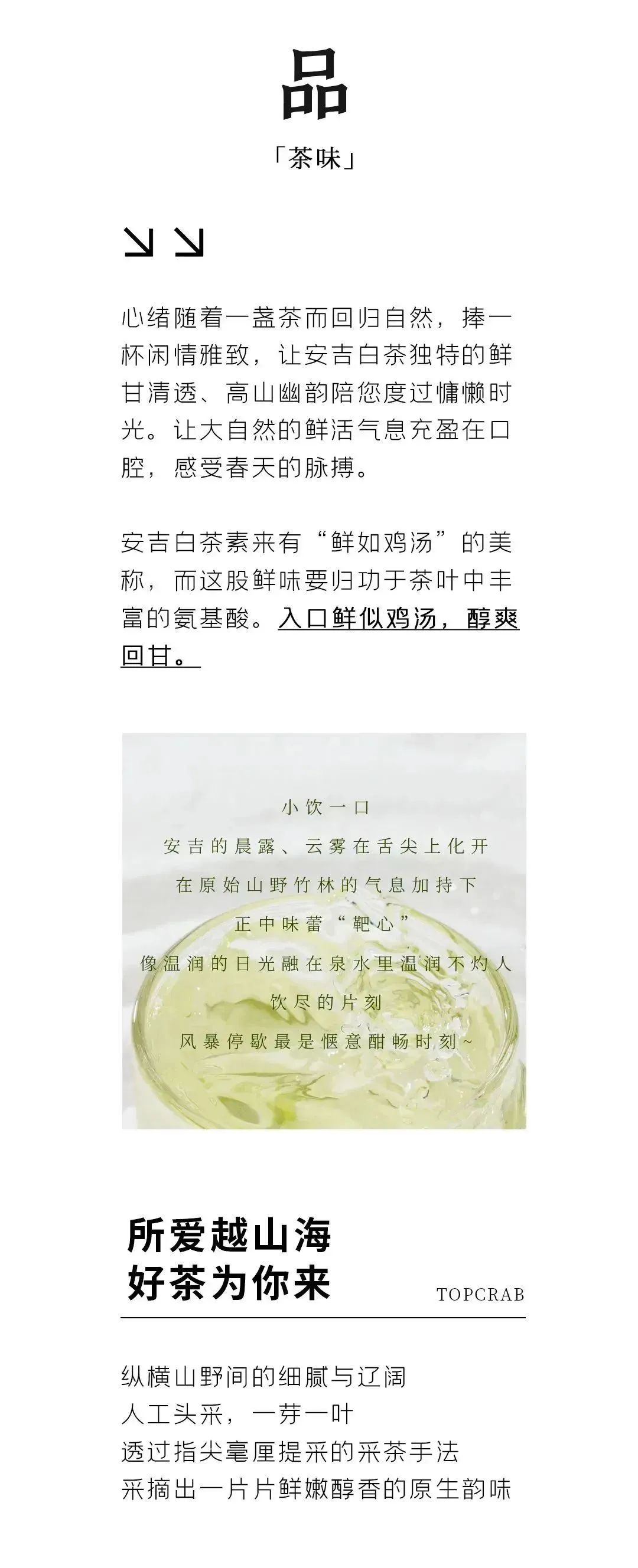 茶道品11
