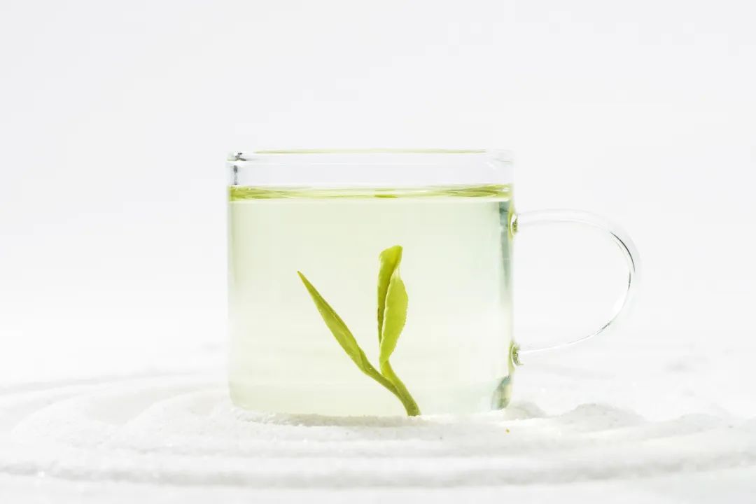 状元三茶安吉白4206 状元三茶安吉白4206