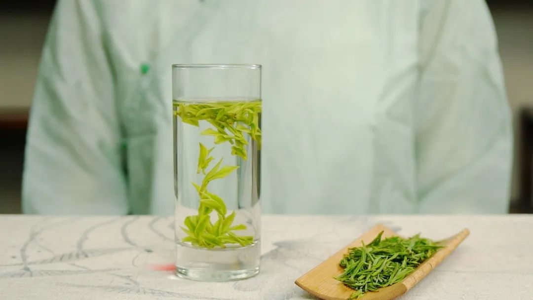 茶味鲜爽回味甘甜 茶味鲜爽回味甘甜