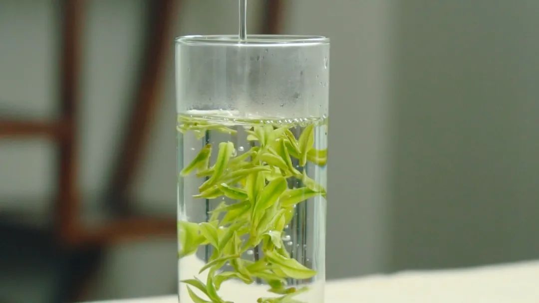 茶叶在漂盘中的优美姿态 茶叶在漂盘中的优美姿态