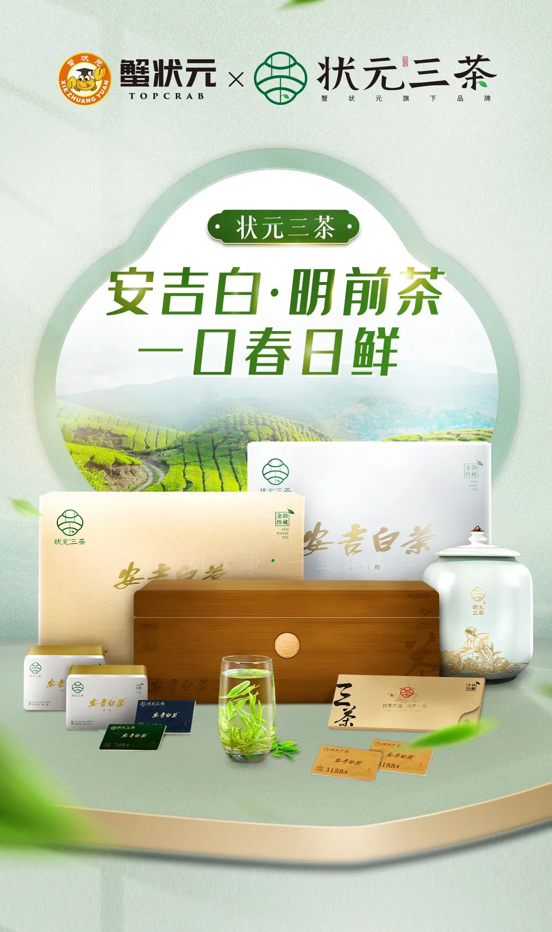 安吉白茶一口明前茶420 安吉白茶一口明前茶420