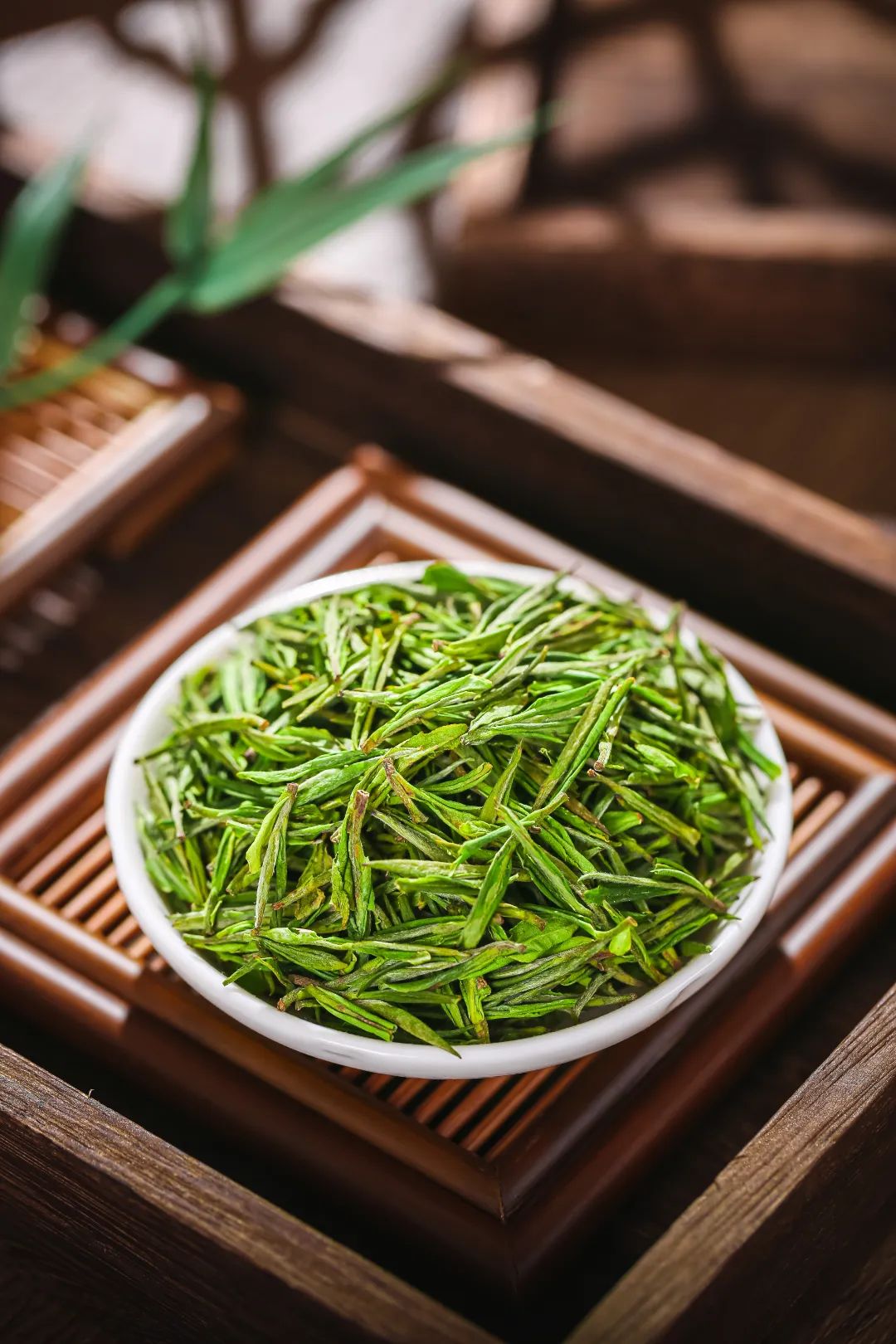 状元三茶安吉白茶42603 状元三茶安吉白茶42603