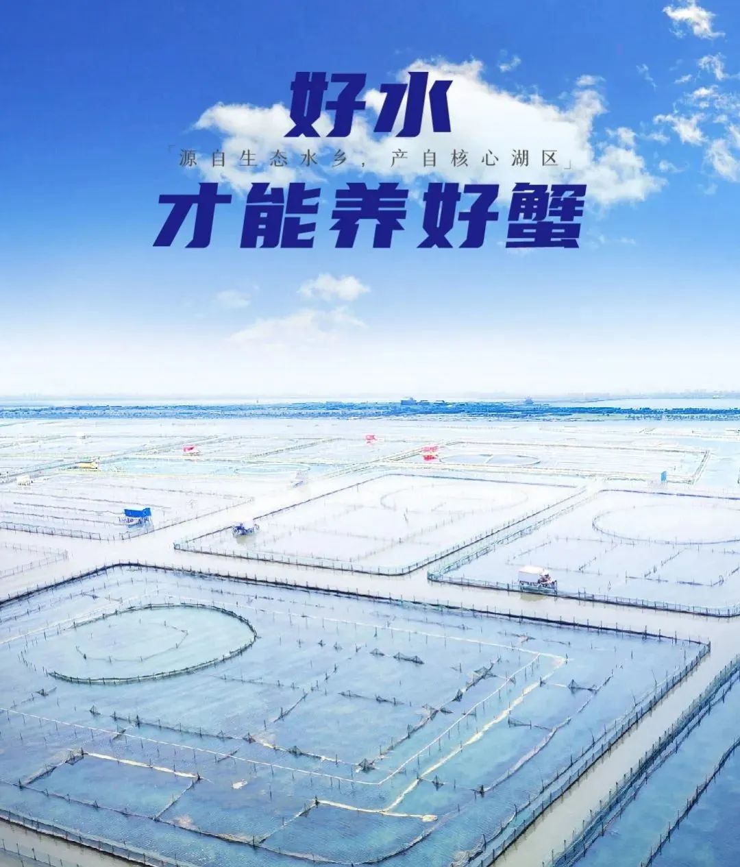好水才能养好蟹42601 好水才能养好蟹42601