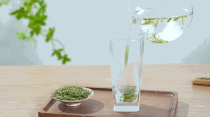 泡茶中2023510002 泡茶中2023510002