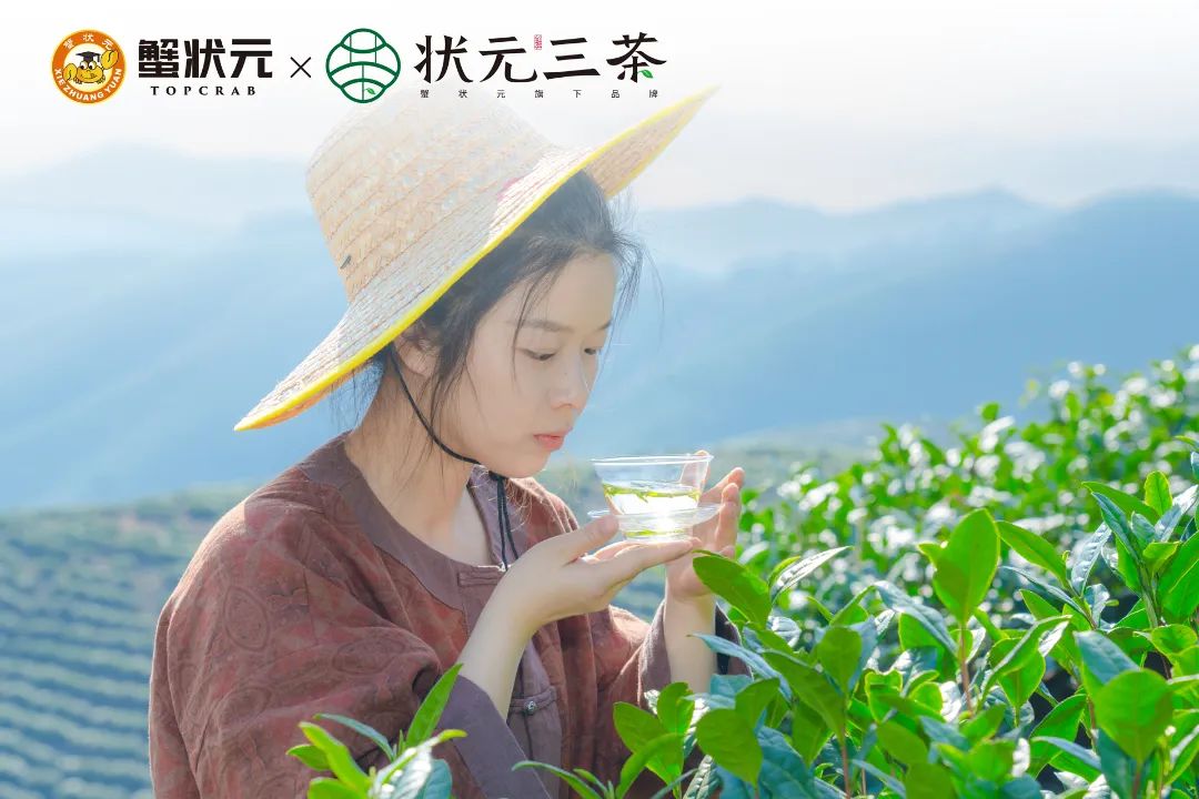 品尝安吉白茶2023510004 品尝安吉白茶2023510004