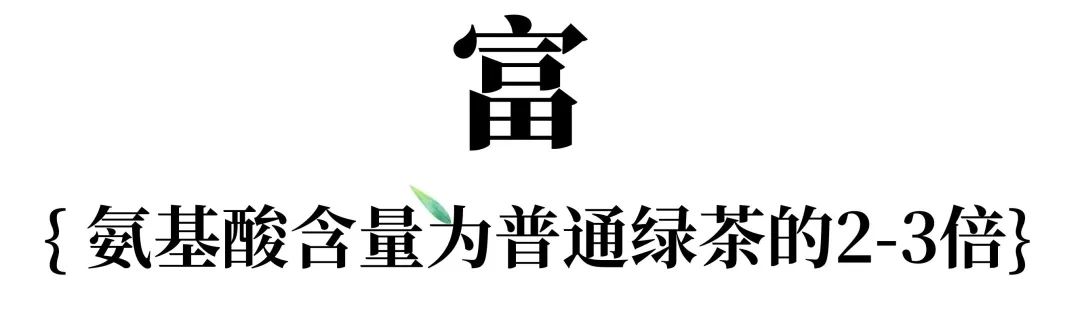 安吉白茶富的特征02 安吉白茶富的特征02
