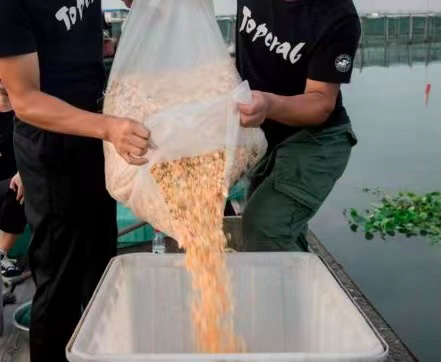 蟹状元大闸蟹喂投 蟹状元大闸蟹喂投