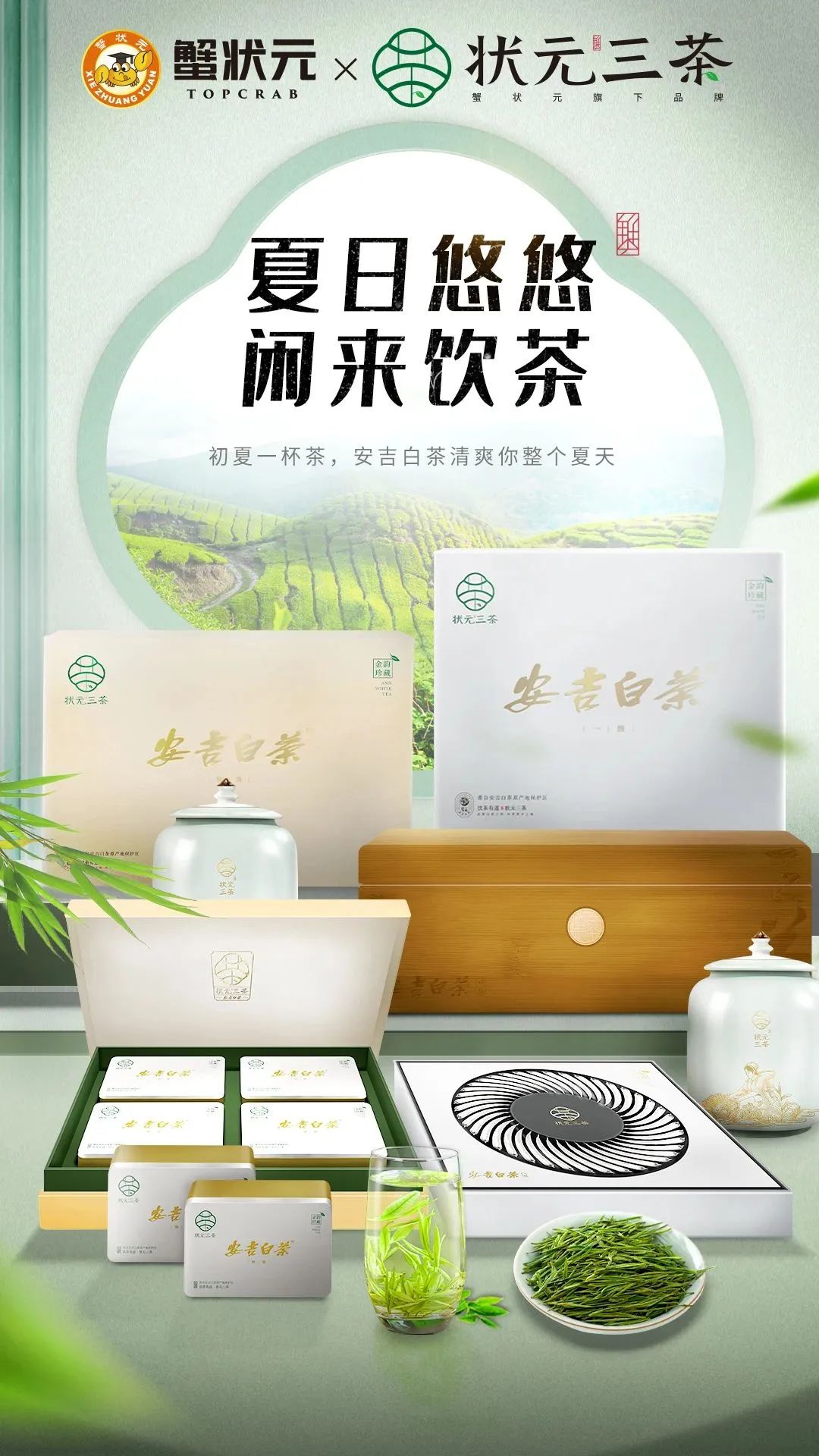 状元三茶安吉白茶524001
