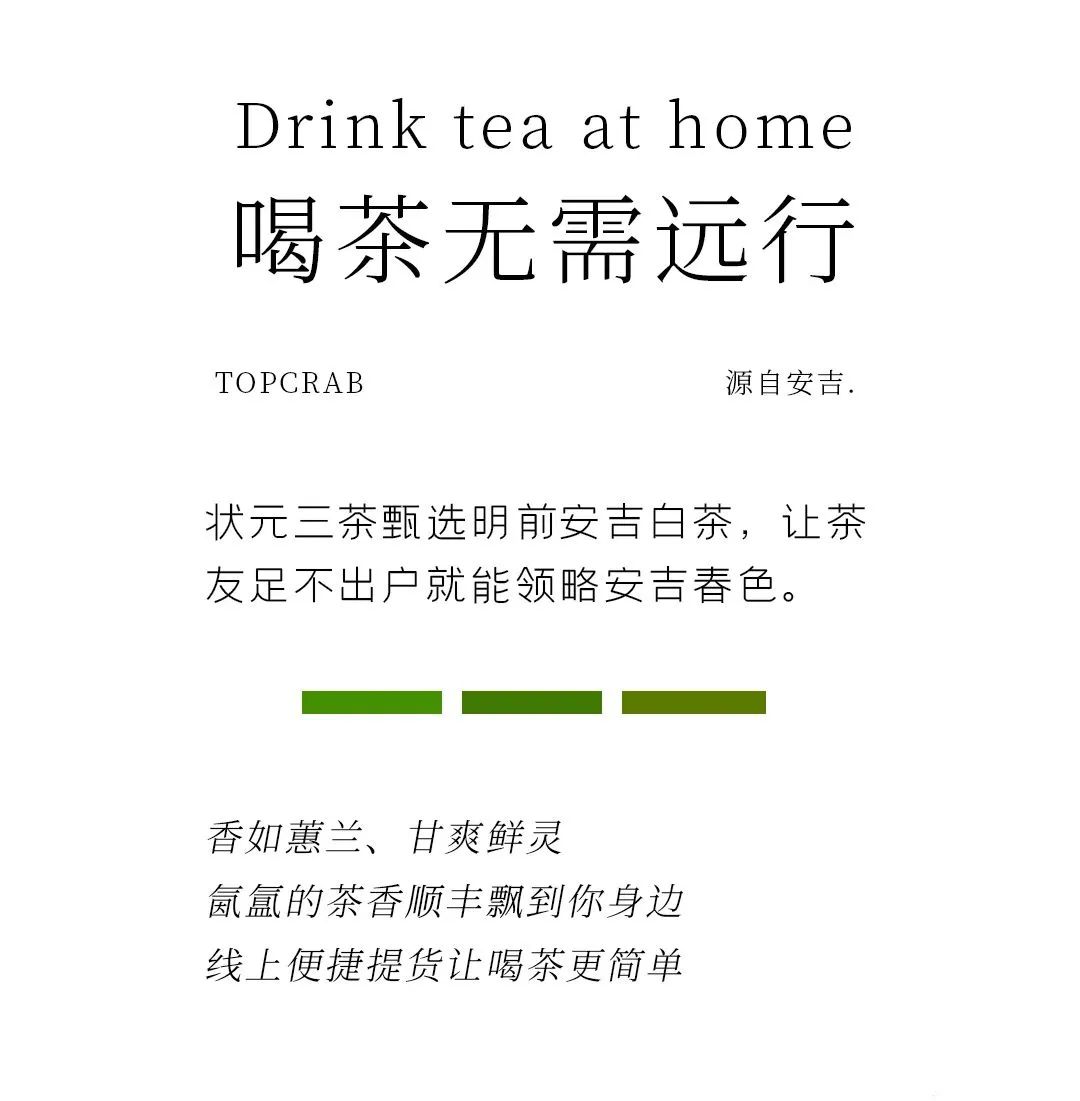 状元三茶安吉白茶5240017