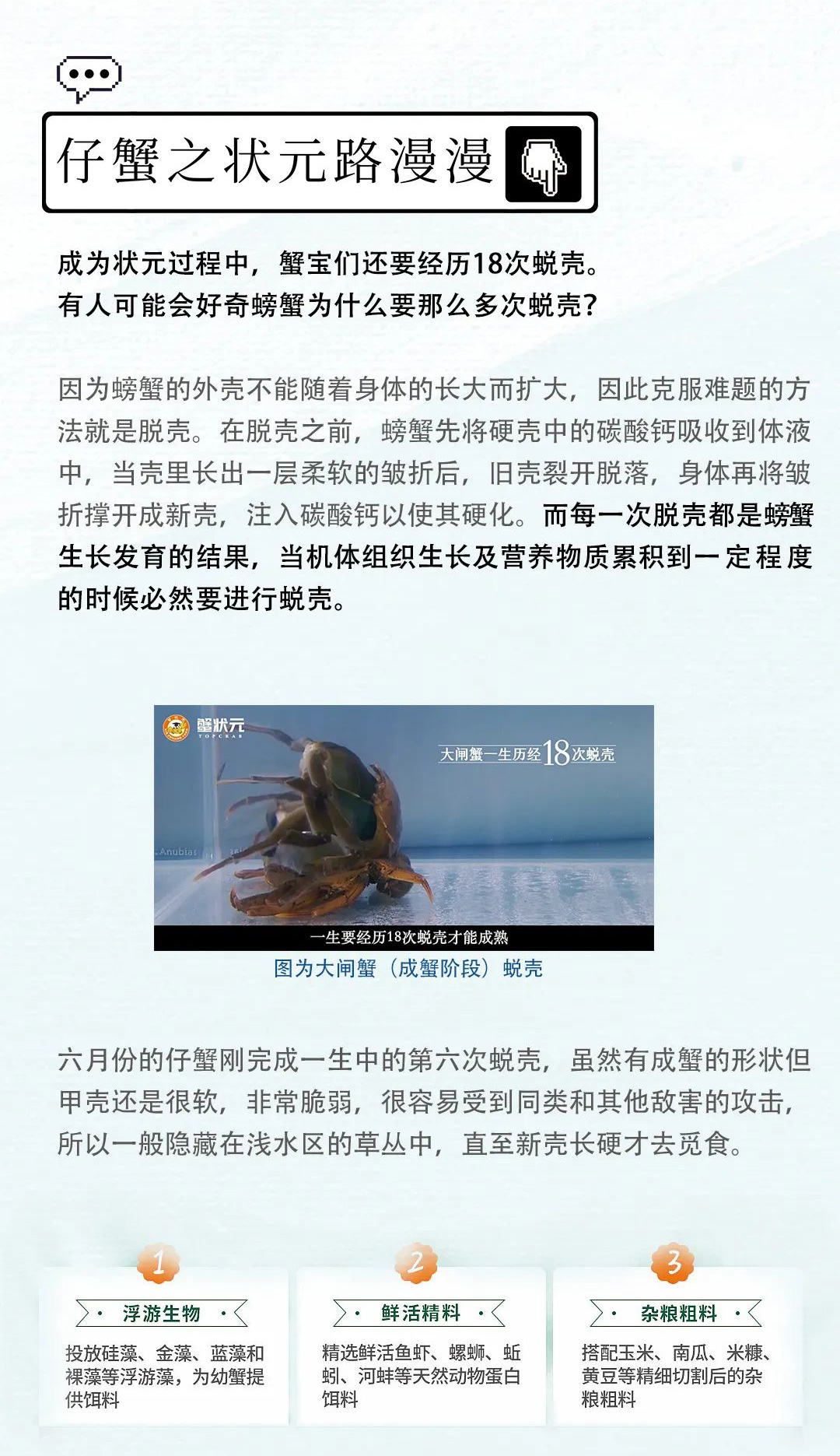大闸蟹成长230607003