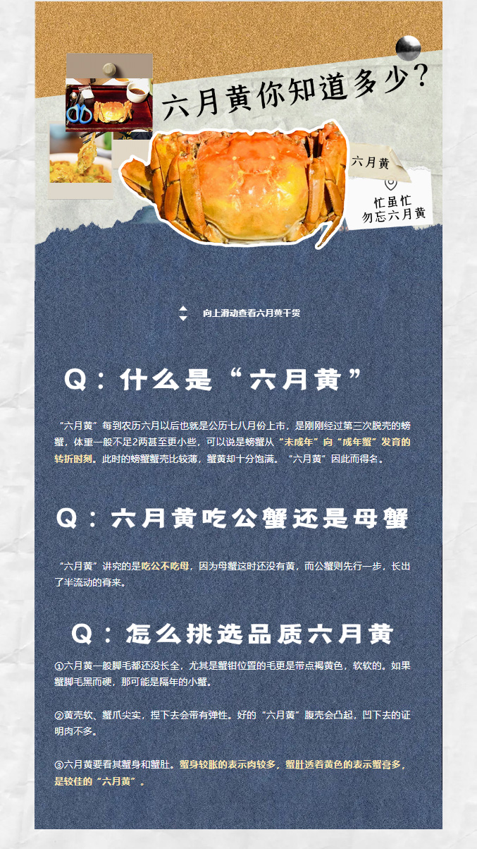 大闸蟹六月黄23621004