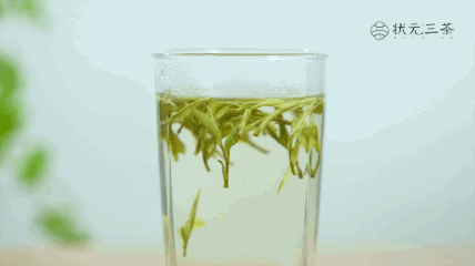 状元三茶安吉白茶63006