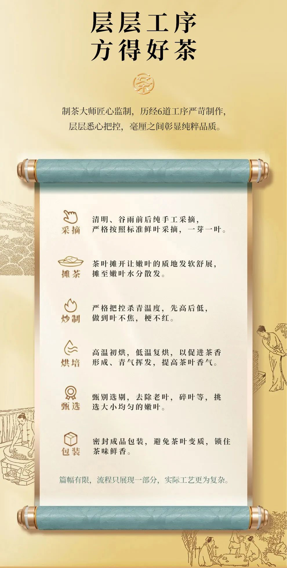 安吉白茶白叶一号精挑细选202300566