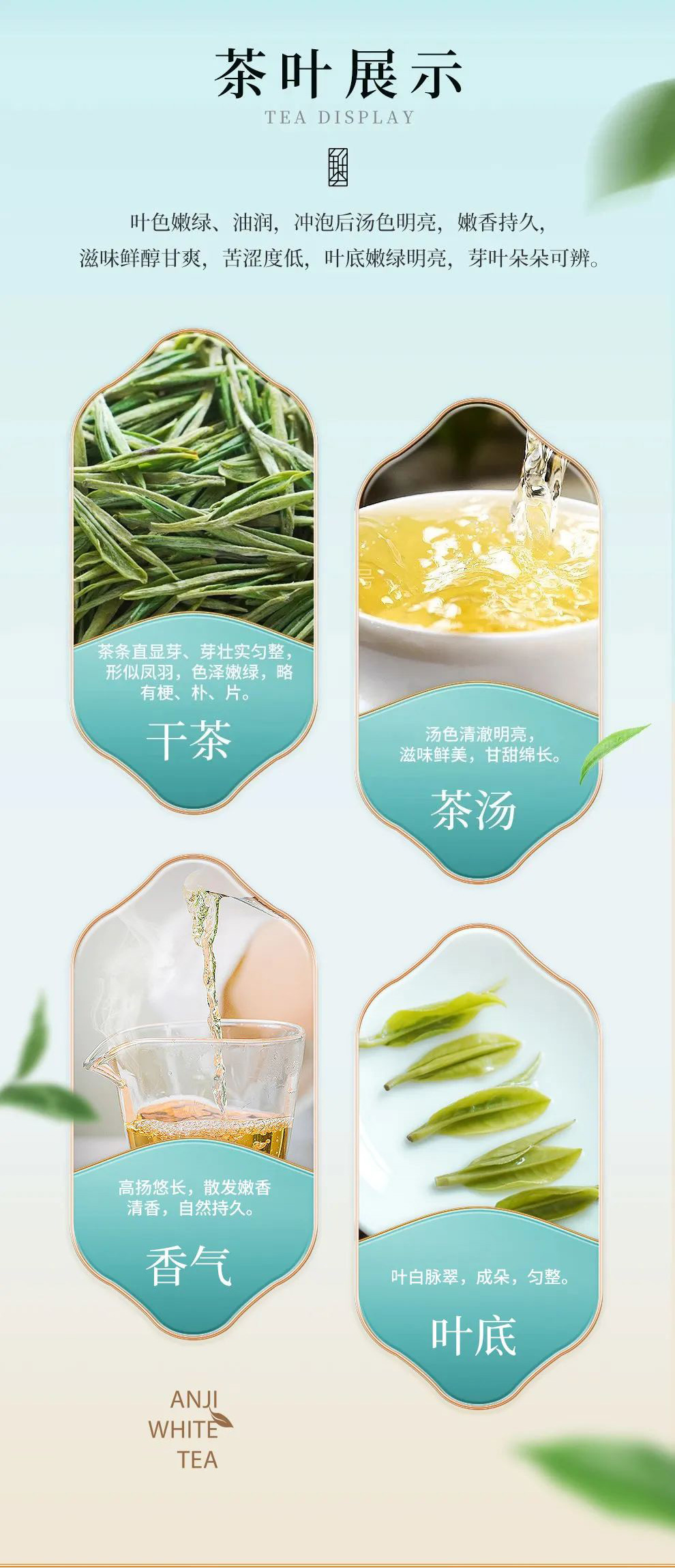 状元三茶茶叶展示201666