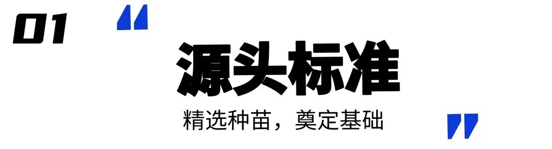 源头标注精选种苗23712003