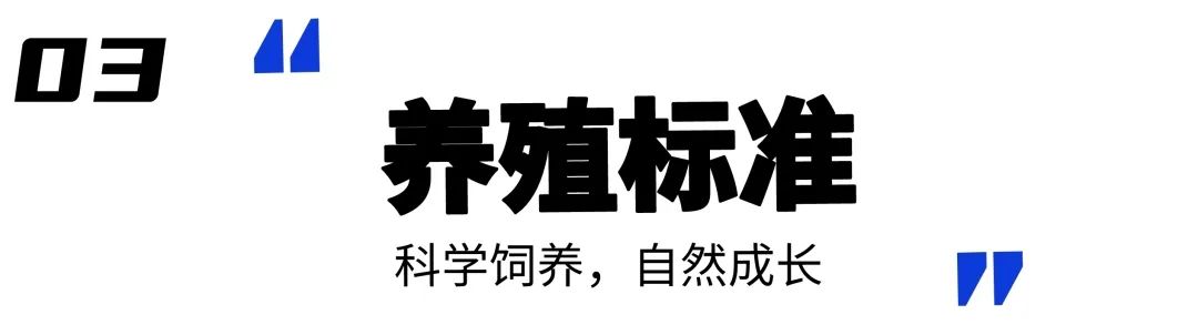 03养殖标准科学饲养自然成长
