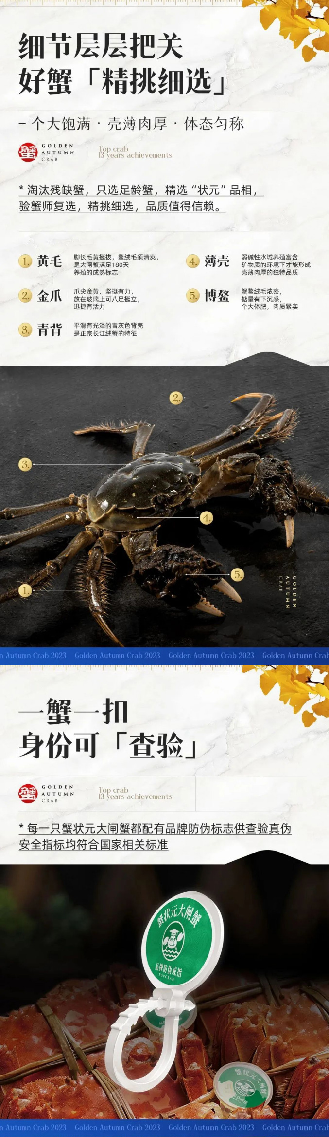 蟹状元大闸蟹品牌推荐23003