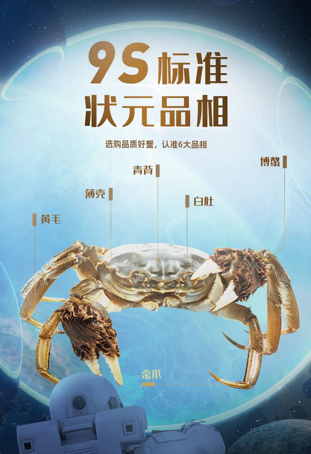 蟹状元大闸蟹9s标准2023