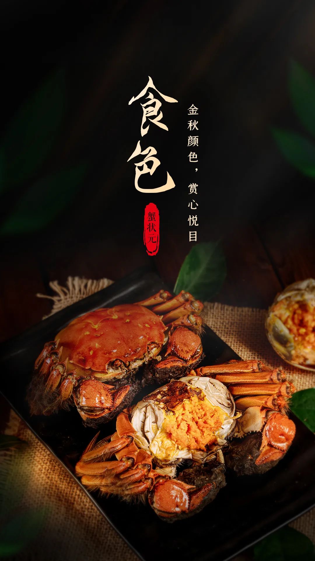 蟹食色20231001202 蟹食色20231001202