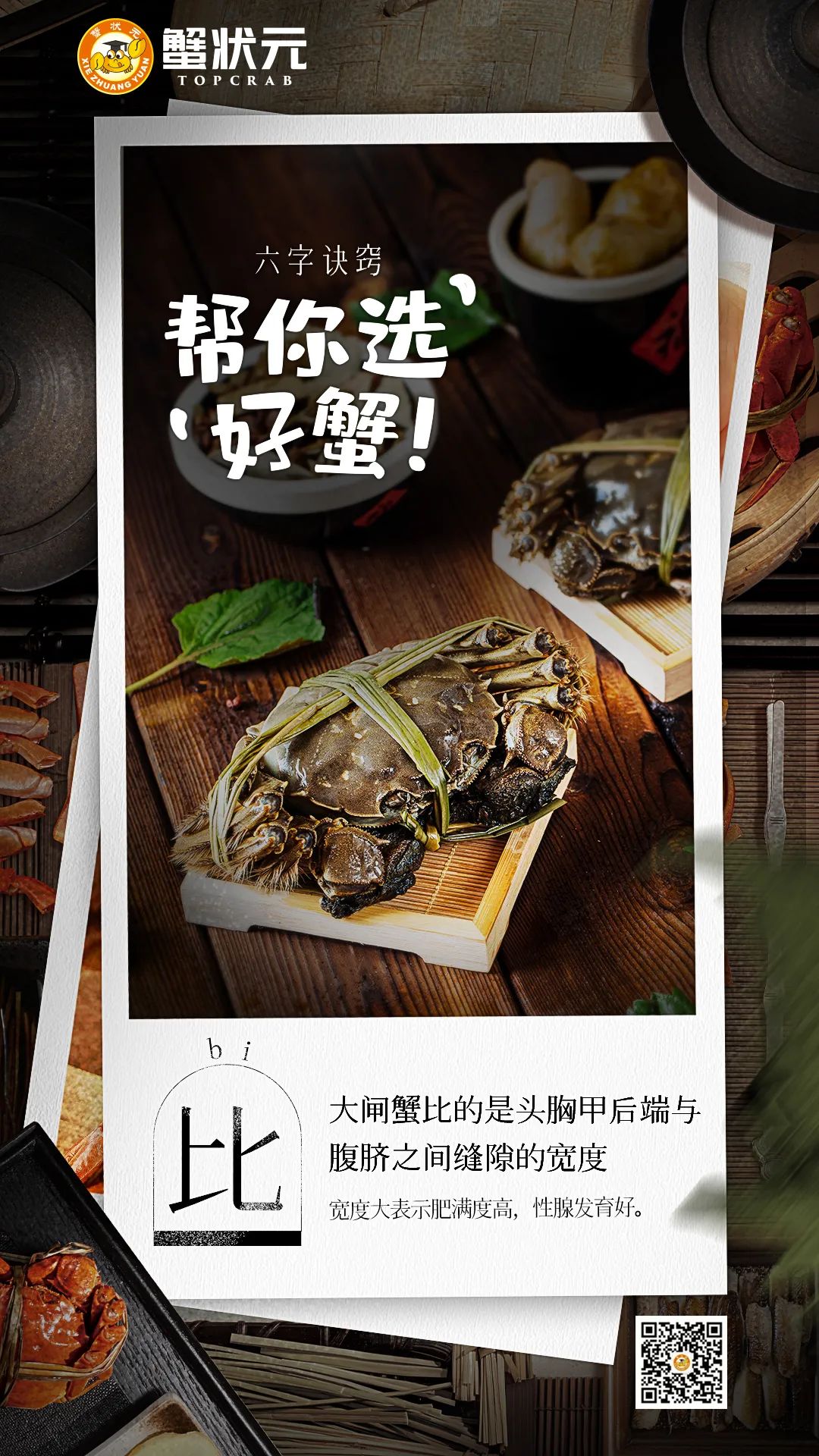 帮你选好蟹05比 帮你选好蟹05比