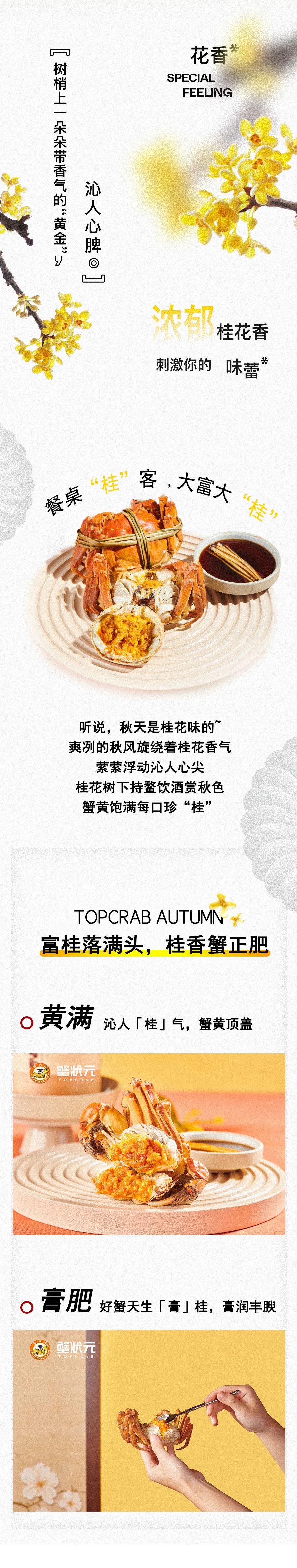 桂花香沁人心脾002