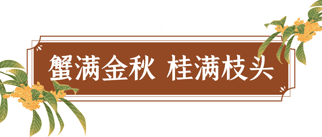 蟹满金秋挂满枝头03