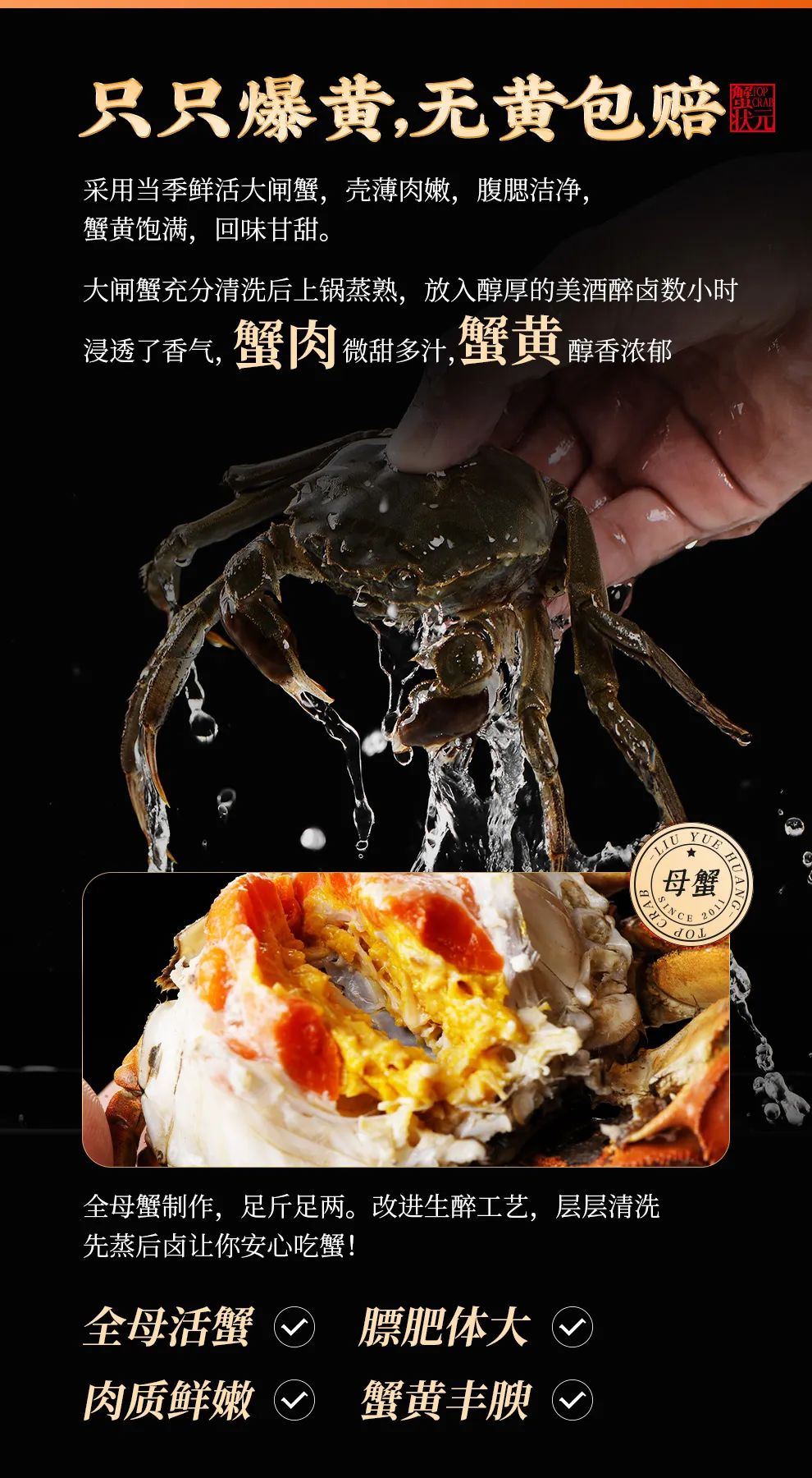 只只爆黄无黄包赔20231130
