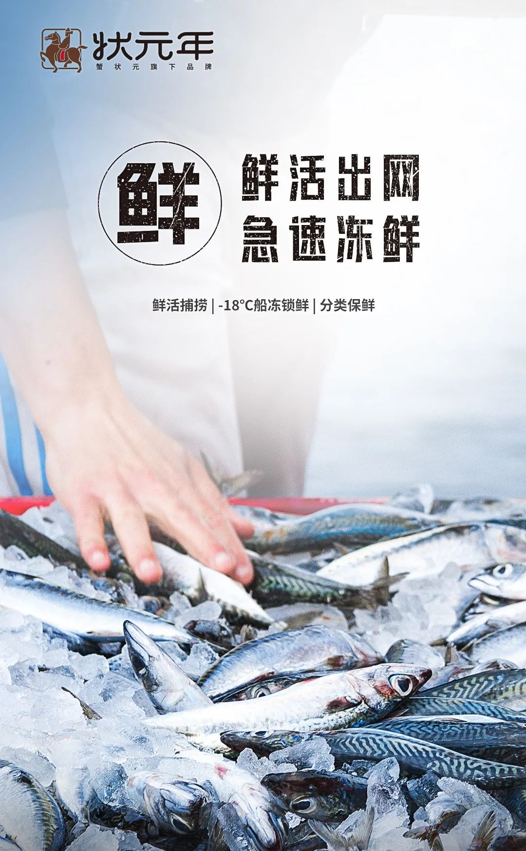 舟山海鲜鲜活出网15003 舟山海鲜鲜活出网15003