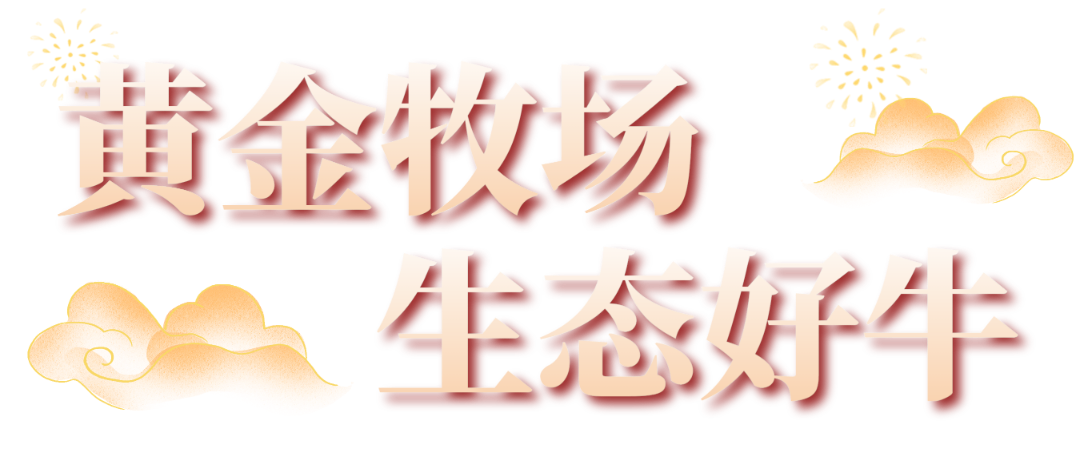 年货送礼佳品延边黄牛20240012222 年货送礼佳品延边黄牛20240012222