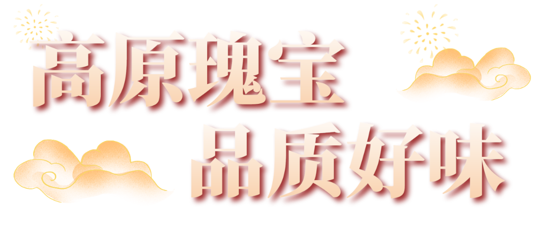 高原款宝迪庆藏猪2024125006 高原款宝迪庆藏猪2024125006