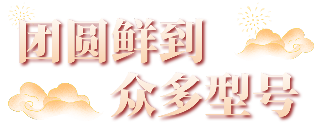 团圆鲜到众多型号202455 团圆鲜到众多型号202455