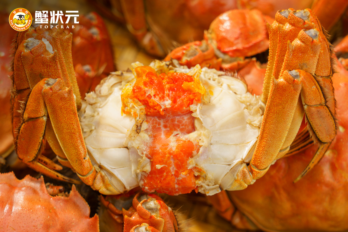 大闸蟹美食2023112002n 大闸蟹美食2023112002n