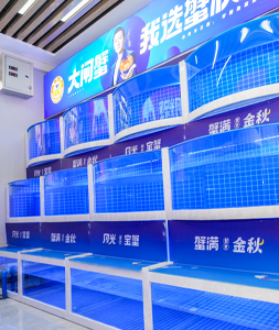 蟹状元大闸蟹沈阳沈河店2024729008