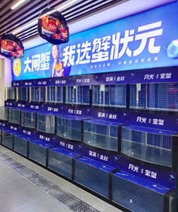 蟹状元大闸蟹呼和浩特店蟹缸2024001002